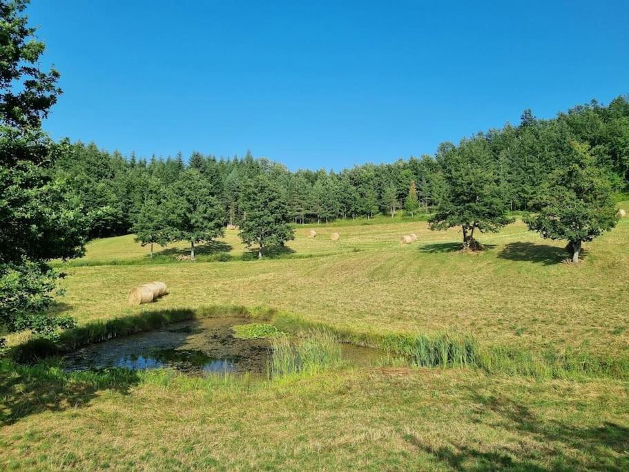 شقة Oasi Di Pace Nella Val Di Taro Compiano المظهر الخارجي الصورة
