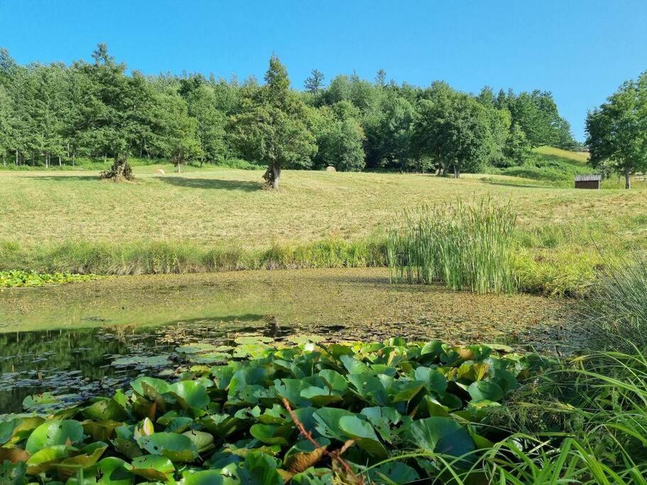 شقة Oasi Di Pace Nella Val Di Taro Compiano المظهر الخارجي الصورة